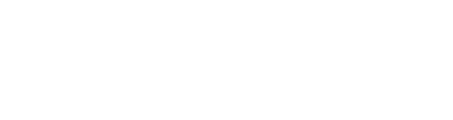 Tampa Driveway